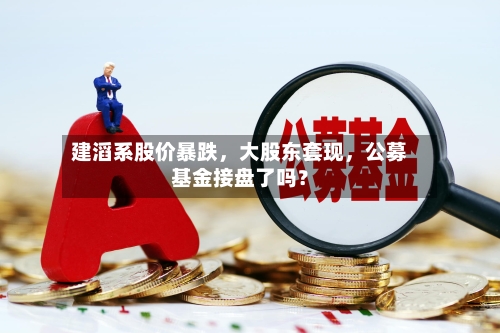 建滔系股价暴跌，大股东套现	，公募基金接盘了吗？-第3张图片