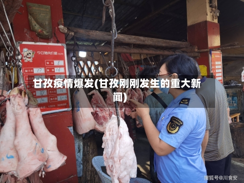 甘孜疫情爆发(甘孜刚刚发生的重大新闻)-第3张图片