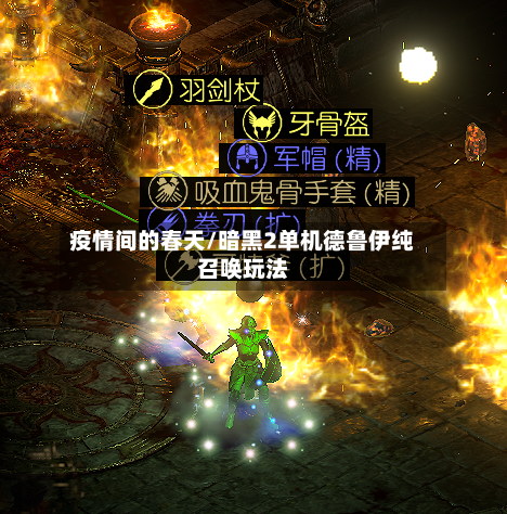疫情间的春天/暗黑2单机德鲁伊纯召唤玩法