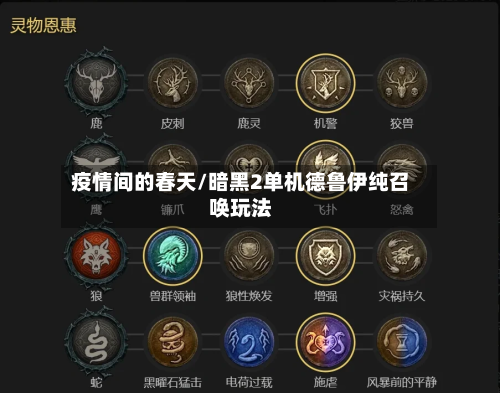 疫情间的春天/暗黑2单机德鲁伊纯召唤玩法-第3张图片