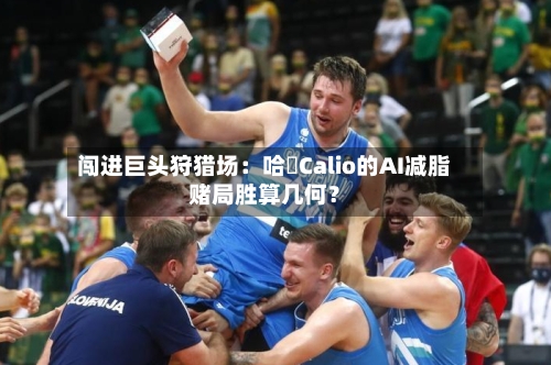 闯进巨头狩猎场:哈啰Calio的AI减脂赌局胜算几何?-第3张图片