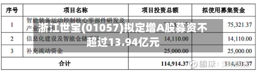 浙江世宝(01057)拟定增A股募资不超过13.94亿元-第2张图片