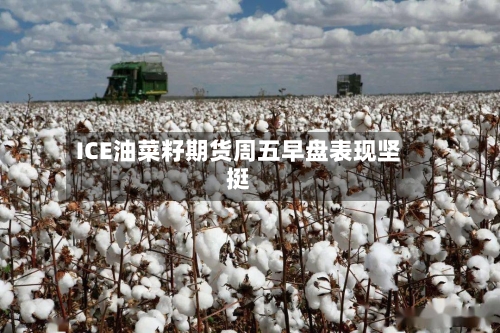 ICE油菜籽期货周五早盘表现坚挺