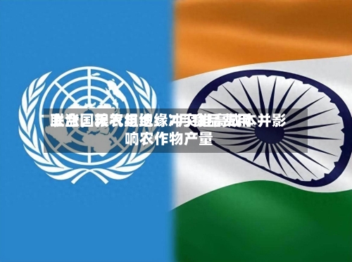 联合国粮农组织：7月食品费用上涨，天气与地缘冲突推高成本并影响农作物产量-第2张图片