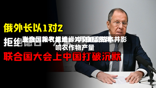 联合国粮农组织：7月食品费用上涨，天气与地缘冲突推高成本并影响农作物产量-第3张图片