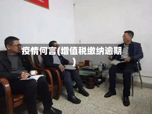 疫情何言(增值税缴纳逾期)-第2张图片