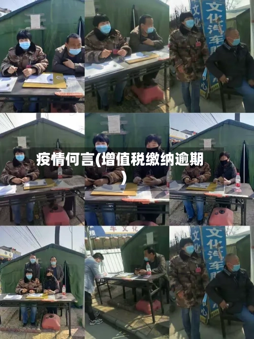 疫情何言(增值税缴纳逾期)