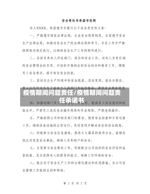 疫情期间问题责任/疫情期间问题责任承诺书-第2张图片
