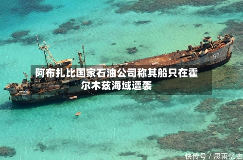阿布扎比国家石油公司称其船只在霍尔木兹海域遭袭-第3张图片
