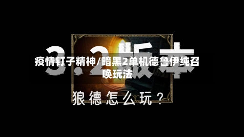 疫情钉子精神/暗黑2单机德鲁伊纯召唤玩法-第2张图片
