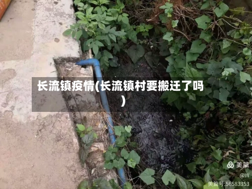 长流镇疫情(长流镇村要搬迁了吗)