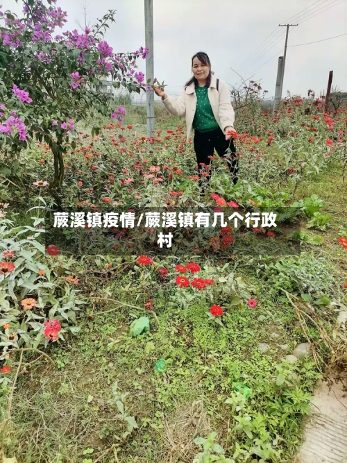 蕨溪镇疫情/蕨溪镇有几个行政村