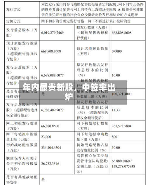 年内最贵新股，中签率出炉-第3张图片