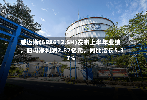 威迈斯(688612.SH)发布上半年业绩	，归母净利润2.87亿元，同比增长5.37%-第3张图片