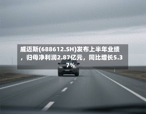 威迈斯(688612.SH)发布上半年业绩，归母净利润2.87亿元，同比增长5.37%-第2张图片