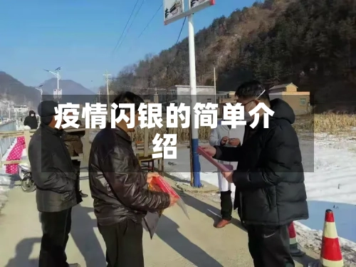 疫情闪银的简单介绍-第2张图片