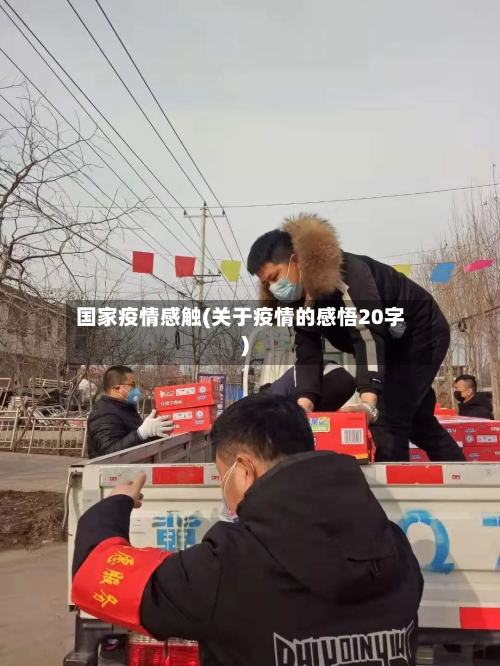 国家疫情感触(关于疫情的感悟20字)-第2张图片