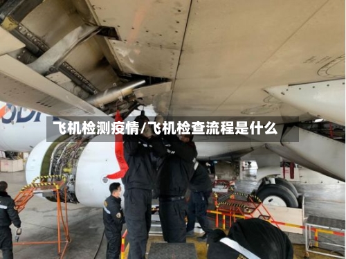 飞机检测疫情/飞机检查流程是什么
