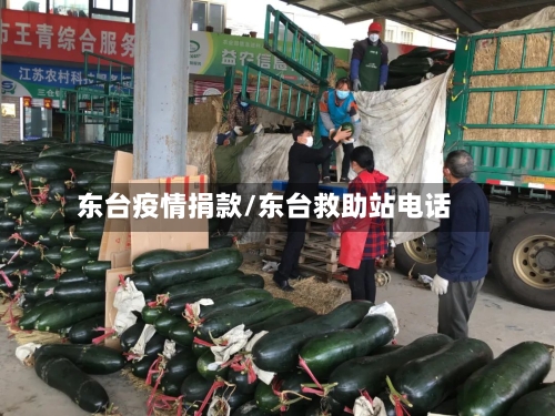 东台疫情捐款/东台救助站电话