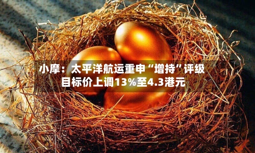 小摩：太平洋航运重申“增持”评级 目标价上调13%至4.3港元-第2张图片