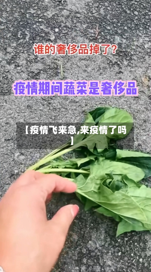 【疫情飞来急,来疫情了吗】
