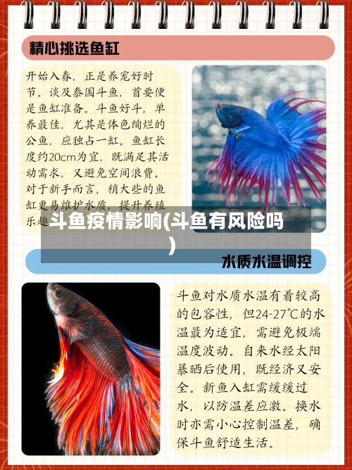 斗鱼疫情影响(斗鱼有风险吗)