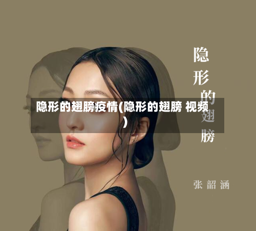 隐形的翅膀疫情(隐形的翅膀 视频)-第3张图片