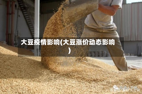 大豆疫情影响(大豆涨价动态影响)