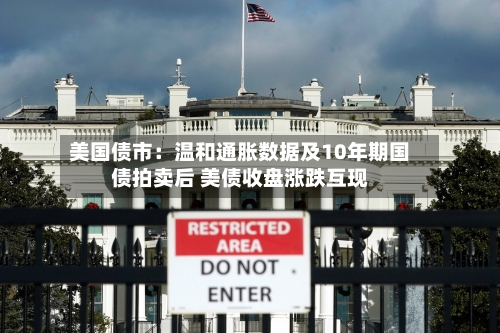 美国债市:温和通胀数据及10年期国债拍卖后 美债收盘涨跌互现-第2张图片