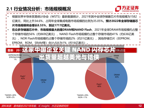 这家中国企业关键 NAND 闪存芯片出货量超越美光与铠侠-第3张图片