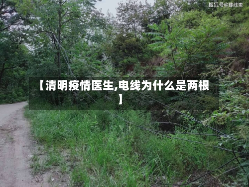 【清明疫情医生,电线为什么是两根】-第3张图片