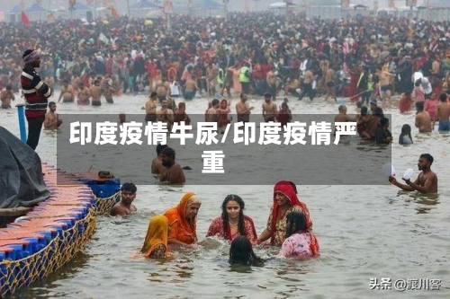 印度疫情牛尿/印度疫情严重