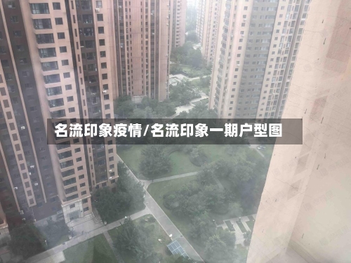 名流印象疫情/名流印象一期户型图