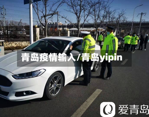 青岛疫情输入/青岛yipin