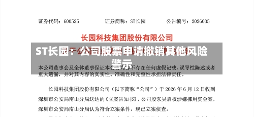 ST长园：公司股票申请撤销其他风险警示