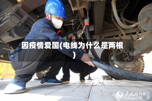 因疫情爱国(电线为什么是两根)-第3张图片