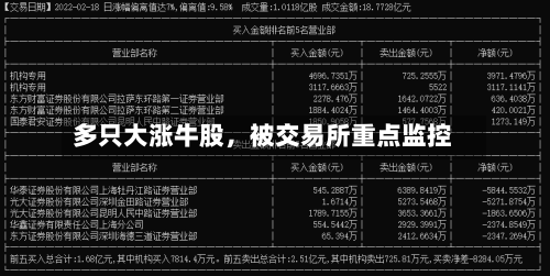 多只大涨牛股，被交易所重点监控