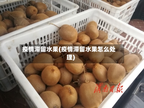 疫情滞留水果(疫情滞留水果怎么处理)-第3张图片