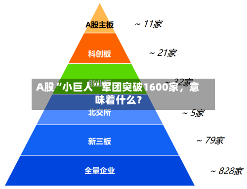 A股“小巨人”军团突破1600家，意味着什么？-第3张图片