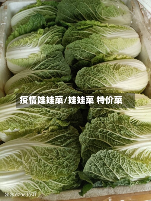 疫情娃娃菜/娃娃菜 特价菜-第2张图片