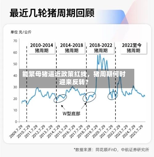 能繁母猪逼近政策红线，猪周期何时迎来反转？-第2张图片