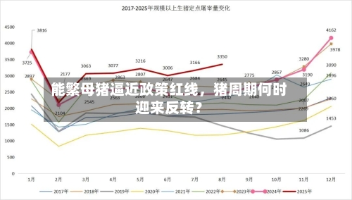 能繁母猪逼近政策红线，猪周期何时迎来反转？