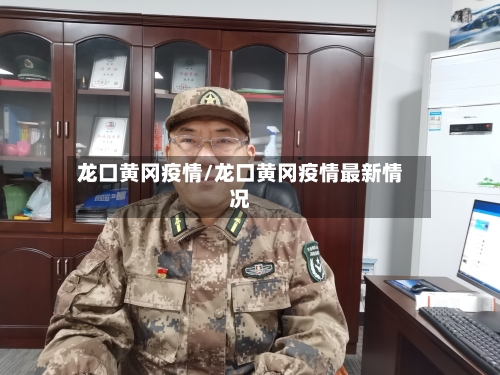 龙口黄冈疫情/龙口黄冈疫情最新情况-第3张图片
