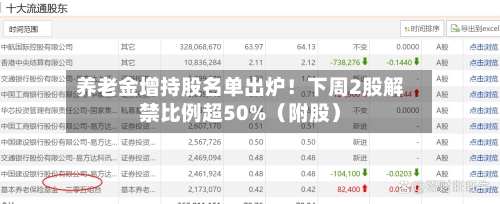 养老金增持股名单出炉！下周2股解禁比例超50%（附股）-第3张图片