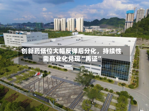创新药低位大幅反弹后分化，持续性需商业化兑现“再证	”-第2张图片
