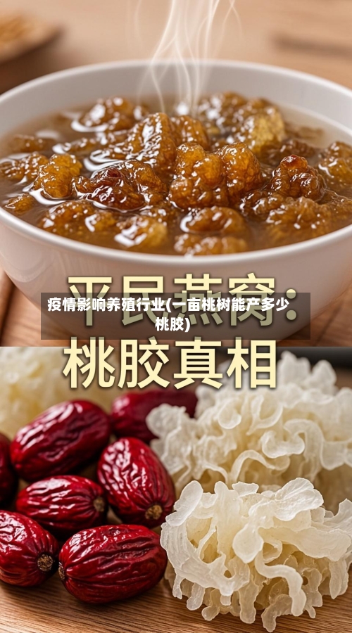 疫情影响养殖行业(一亩桃树能产多少桃胶)-第2张图片