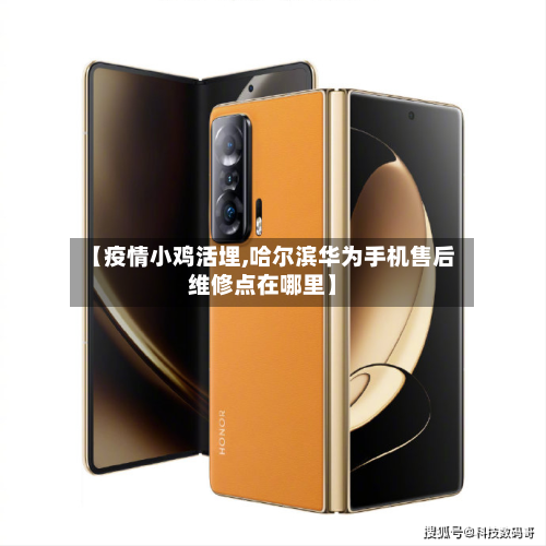 【疫情小鸡活埋,哈尔滨华为手机售后维修点在哪里】