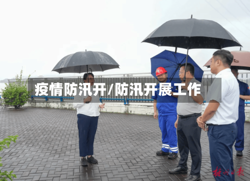 疫情防汛开/防汛开展工作