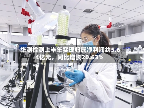 华测检测上半年实现归属净利润约5.64亿元	，同比增长20.63%-第2张图片