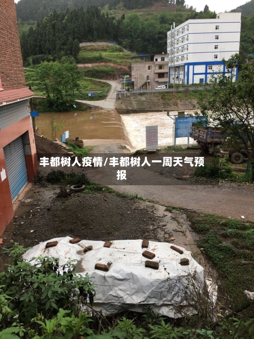 丰都树人疫情/丰都树人一周天气预报